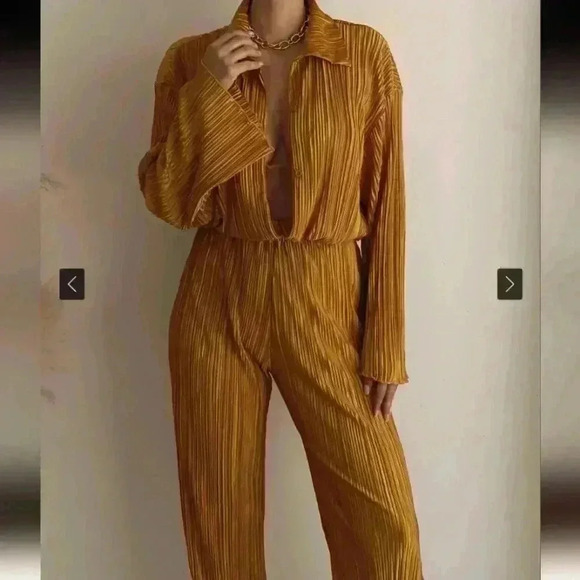 Rachel Zoe Pants - Rachel Roy 2pc golden pleated pants set